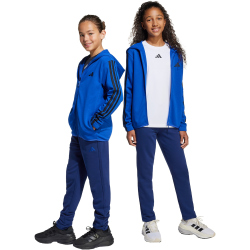 adidas Essentials Jogginganzug Kinder JE0311 - team royal...