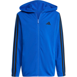 adidas Essentials Jogginganzug Kinder JE0311 - team royal blue/black 152