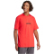adidas Essentials Linear Single Jersey T-Shirt Herren JE8994 - pure ruby/black XS