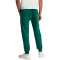 adidas Essentials Big Logo French Terry Jogginghose Herren JE8971 - collegiate green/black 3XL