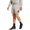adidas Essentials Big Logo Single Jersey Sweatshorts Herren IS6908 - medium grey heather/black S
