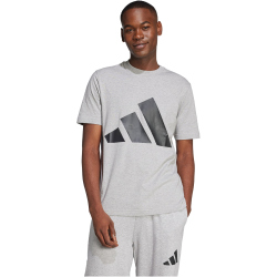 adidas Essentials Big Logo T-Shirt Herren JE8948 - medium grey heather/black M