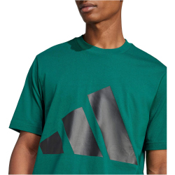 adidas Essentials Big Logo T-Shirt Herren JE8932 - collegiate green/black M