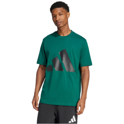 adidas Essentials Big Logo T-Shirt Herren JE8932 - collegiate green/black M