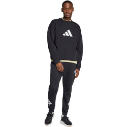 adidas Future Icons 3-Streifen Trainingshose Herren JD4863 - black XXL