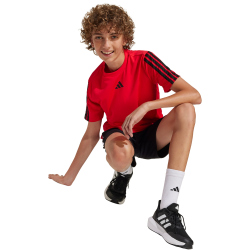 adidas Train Essentials 3-Streifen T-Shirt Jungen JJ1034 - pure ruby/black 128
