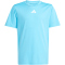 adidas Train Essentials 3-Streifen T-Shirt + Shorts Set Kinder JJ1031 - bright cyan/white 128