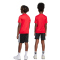adidas Train Essentials 3-Streifen T-Shirt + Shorts Set Kinder JJ1028 - pure ruby/black 128
