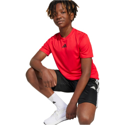 adidas Train Essentials 3-Streifen T-Shirt + Shorts Set...