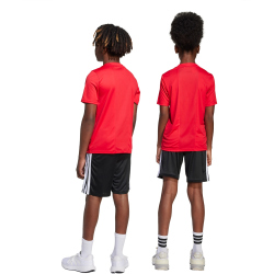 adidas Train Essentials 3-Streifen T-Shirt + Shorts Set...