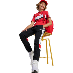 adidas Seasonal Essentials Tiberio 3-Streifen T-Shirt...