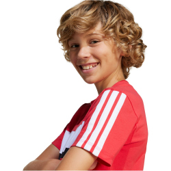 adidas Seasonal Essentials Tiberio 3-Streifen T-Shirt...