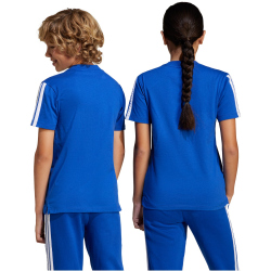 adidas Seasonal Essentials Tiberio 3-Streifen T-Shirt...