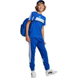 adidas Seasonal Essentials Tiberio 3-Streifen T-Shirt Kinder JC7470 - team royal blue/core white 164