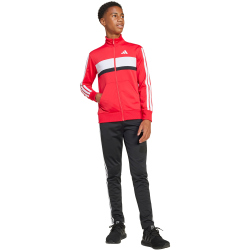 adidas Seasonal Essentials Tiberio 3-Streifen Tricot...