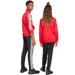 adidas Seasonal Essentials Tiberio 3-Streifen Tricot...
