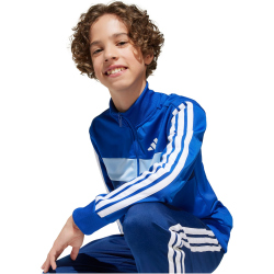 adidas Seasonal Essentials Tiberio 3-Streifen Tricot...