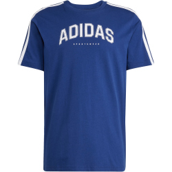 adidas Codes Collegiate Linear Graphic T-Shirt Herren...
