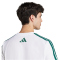adidas Codes Collegiate Linear Graphic T-Shirt Herren JJ3868 - white S