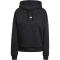 adidas Essentials Small Logo Feelcozy Hoodie Damen JN1861 - black/white L