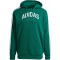 adidas Codes Collegiate Graphic Hoodie Herren JV6506 - collegiate green S