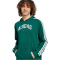 adidas Codes Collegiate Graphic Hoodie Herren JV6506 - collegiate green S
