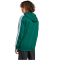 adidas Codes Collegiate Graphic Hoodie Herren JV6506 - collegiate green S