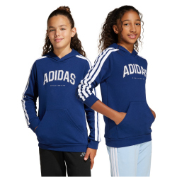 adidas Codes Collegiate Graphic Hoodie Kinder JM7359 -...