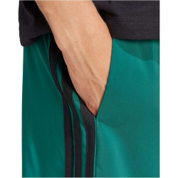 adidas Essentials 3-Streifen Chelsea Sweatshorts Herren JW1910 - collegiate green/black S