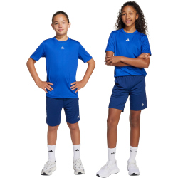 adidas Train Essentials Logo Regular Fit Trainingsshorts...