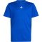 adidas Train Essentials Logo Regular Fit Trainingsshirt Kinder JC7675 - team royal blue/white 164