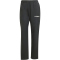 adidas TERREX Multi Liteflex Outdoorhose Damen