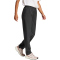 adidas TERREX Multi Liteflex Outdoorhose Damen