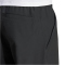 adidas TERREX Multi Liteflex Outdoorhose Herren
