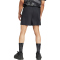 adidas TERREX Multi Outdoorshorts Herren