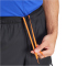 adidas TERREX Multi Light Outdoorshorts Herren
