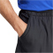 adidas TERREX Multi Light Outdoorshorts Herren