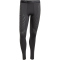 adidas TERREX Techfit Control Trainingstights Herren