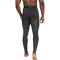 adidas TERREX Techfit Control Trainingstights Herren