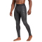 adidas TERREX Techfit Control Trainingstights Herren