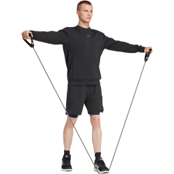 adidas Designed for Training Sweatshirt Herren