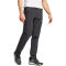 adidas TERREX Multi Zip-Off Outdoorhose Herren