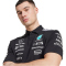 adidas Mercedes-AMG Petronas Formel 1 Team Poloshirt Herren