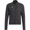 adidas TERREX The Cycling Wind.Rdy Fahrradjacke Herren
