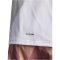adidas TERREX Multi Climacool T-Shirt Damen JE0366 - white M