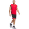 adidas Badge of Sport Basketballshorts Herren IM7897 - black/red XS/7"