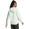adidas TERREX Multi Softshelljacke Damen JC6860 - linen green/silver green L