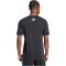 adidas Mercedes-AMG Petronas Formel 1 Team DNA T-Shirt Herren JV5425 - black/white M
