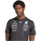 adidas Mercedes-AMG Petronas Formel 1 Team Fahrer T-Shirt Herren JW5361 - black/white XXL