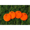 4er Pack Powershot Kreise 30cm